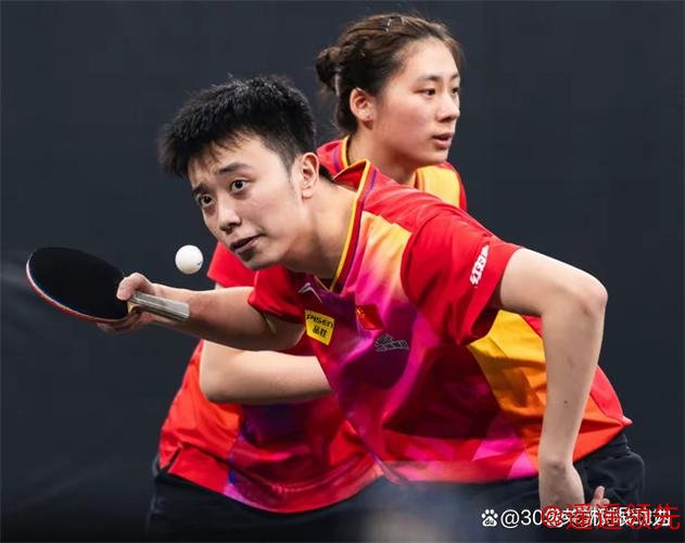 WTT挑战赛多哈站波尔逆转张本登顶 韩国队拿三冠