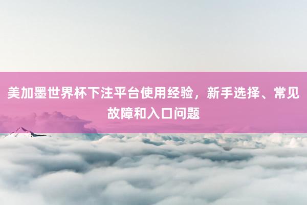 美加墨世界杯下注平台使用经验，新手选择、常见故障和入口问题