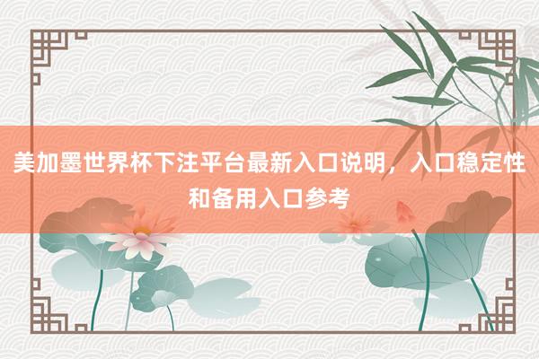 美加墨世界杯下注平台最新入口说明，入口稳定性和备用入口参考